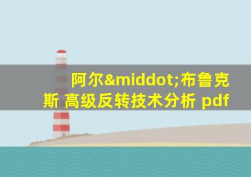 阿尔·布鲁克斯 高级反转技术分析 pdf